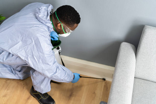 Best Pest Prevention Services  in Pomona, KS